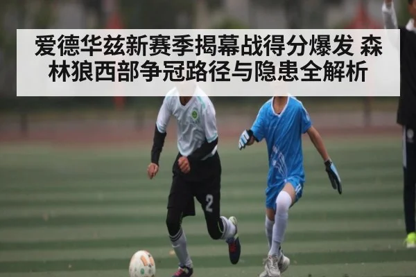 爱德华兹新赛季揭幕战得分爆发 森林狼西部争冠路径与隐患全解析